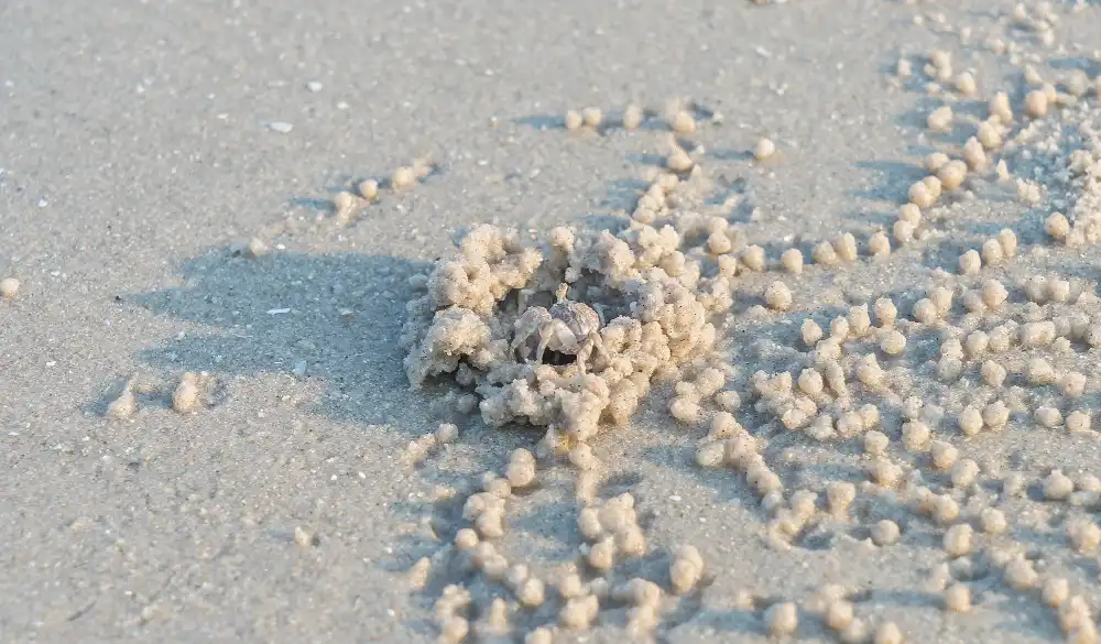 Silica Sand