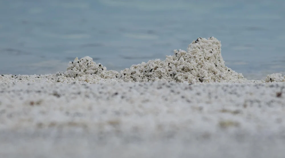 The Next Manila Bay Project: Should Silica Sand Be Considered?