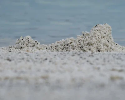 The Next Manila Bay Project: Should Silica Sand Be Considered?